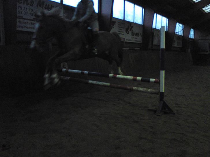 Springning på Brædstrup rideskole d. 31 Marts 10 - Sultan og ? billede 5