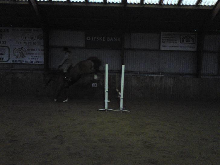 Springning på Brædstrup rideskole d. 31 Marts 10 - Sultan og ? billede 7