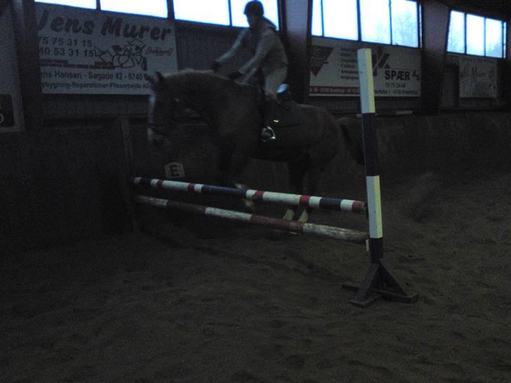 Springning på Brædstrup rideskole d. 31 Marts 10 - Sultan og ? billede 8