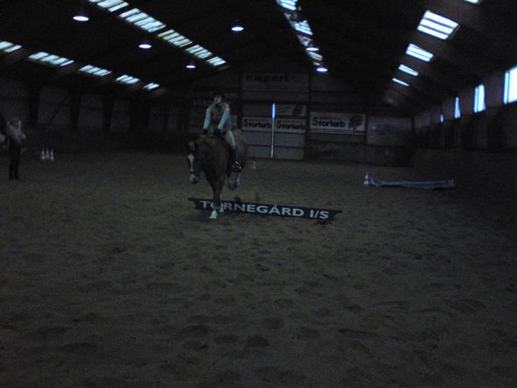 Springning på Brædstrup rideskole d. 31 Marts 10 - Sultan og ? billede 9