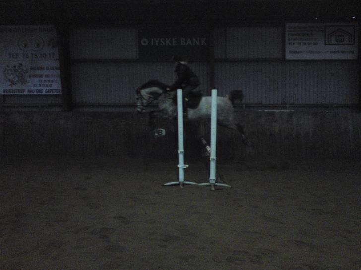 Springning på Brædstrup rideskole d. 31 Marts 10 - Stine og Kemt billede 10