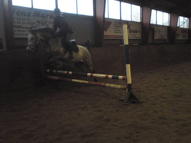 Springning på Brædstrup rideskole d. 31 Marts 10 - Stine og Kemt billede 11