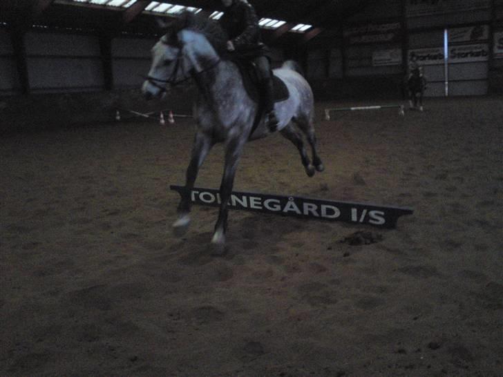 Springning på Brædstrup rideskole d. 31 Marts 10 - Stine og Kemt billede 12