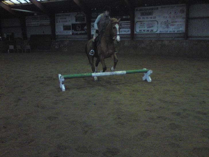 Springning på Brædstrup rideskole d. 31 Marts 10 - Sultan og ? billede 13