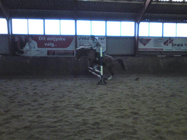 Springning på Brædstrup rideskole d. 31 Marts 10 - Sultan og ? billede 14