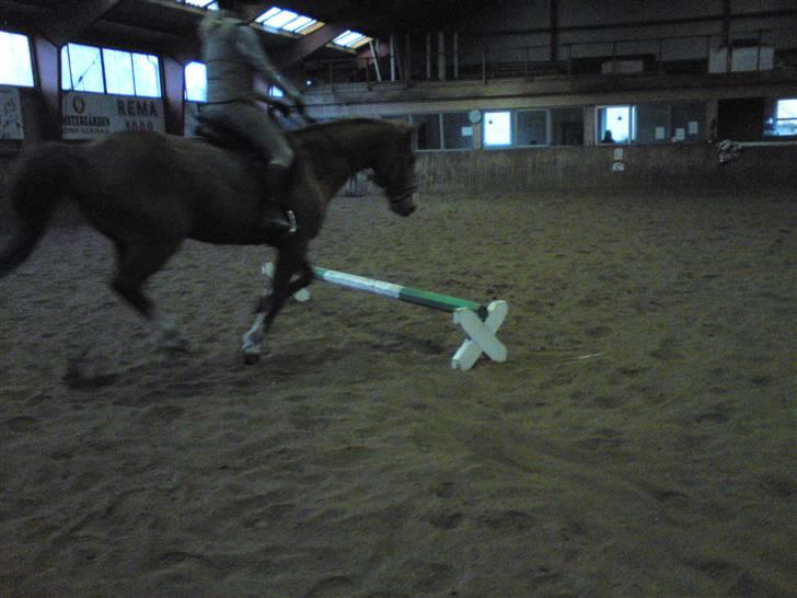 Springning på Brædstrup rideskole d. 31 Marts 10 - Sultan og ? billede 15