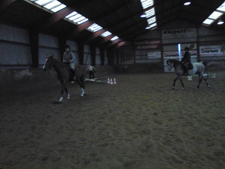 Springning på Brædstrup rideskole d. 31 Marts 10 - Sultan og ? & Stine og Kemt billede 17