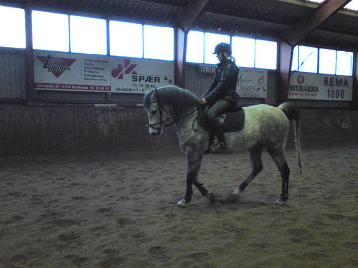 Springning på Brædstrup rideskole d. 31 Marts 10 - Stine og Kemt billede 18