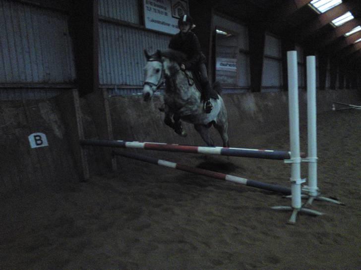 Springning på Brædstrup rideskole d. 31 Marts 10 - Stine og Kemt billede 19