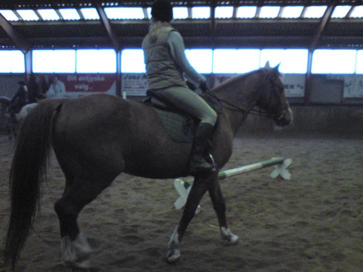 Springning på Brædstrup rideskole d. 31 Marts 10 - Sultan og ? billede 20