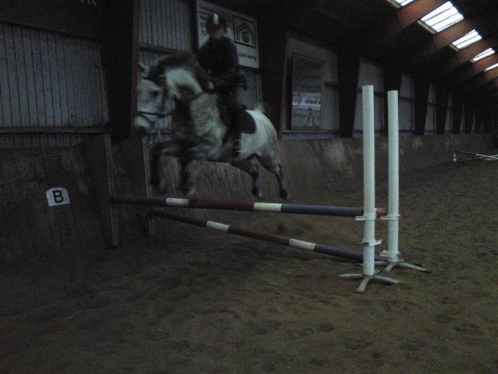 Springning på Brædstrup rideskole d. 31 Marts 10 - Stine og Kemt billede 21