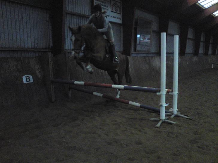 Springning på Brædstrup rideskole d. 31 Marts 10 - Sultan og ? billede 22