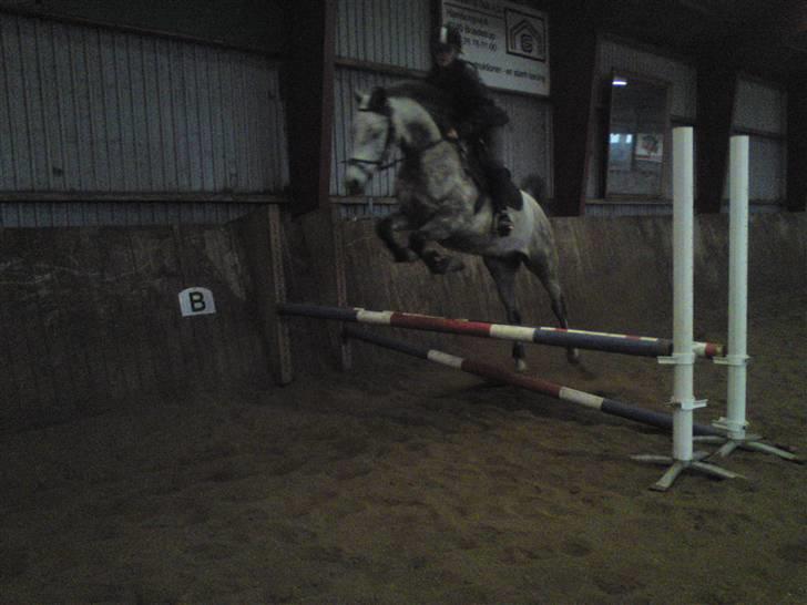 Springning på Brædstrup rideskole d. 31 Marts 10 - Stine og Kemt billede 23