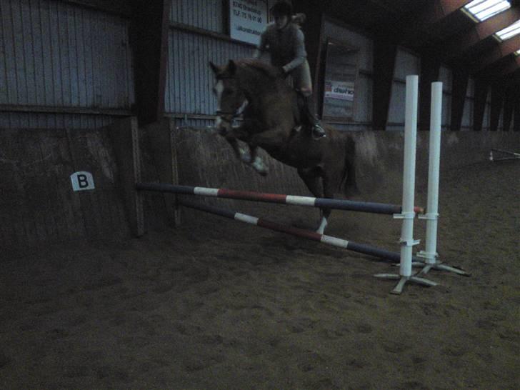 Springning på Brædstrup rideskole d. 31 Marts 10 - Sultan og ? billede 24