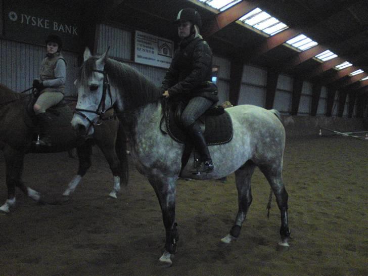Springning på Brædstrup rideskole d. 31 Marts 10 - Stine og Kemt billede 25