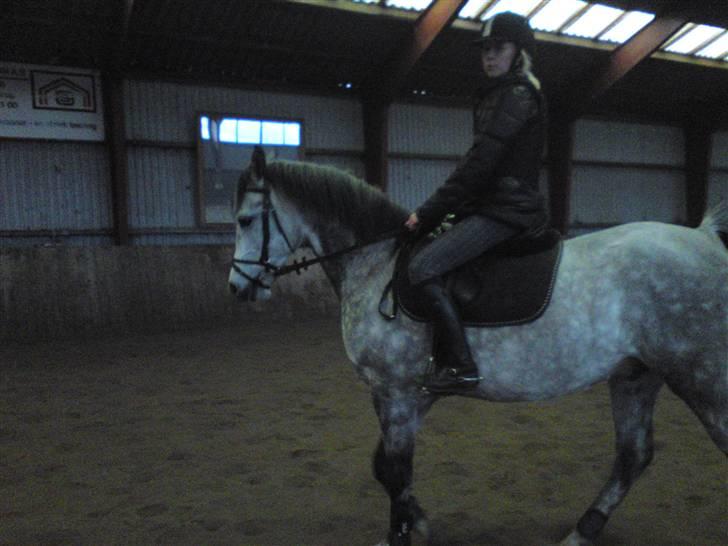 Springning på Brædstrup rideskole d. 31 Marts 10 - Stine og Kemt billede 26