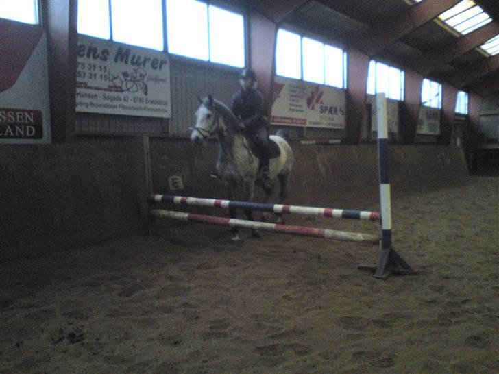 Springning på Brædstrup rideskole d. 31 Marts 10 - Stine og Kemt billede 27