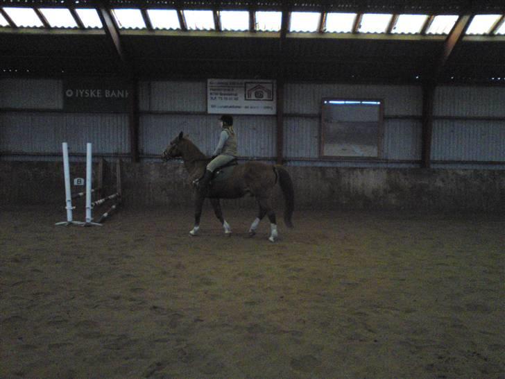 Springning på Brædstrup rideskole d. 31 Marts 10 - Sultan og ? billede 28