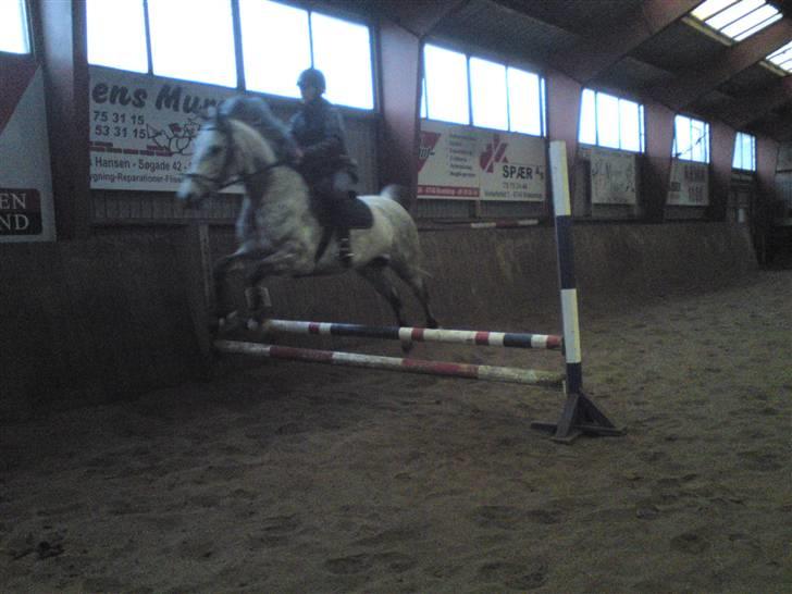 Springning på Brædstrup rideskole d. 31 Marts 10 - Stine og Kemt billede 29