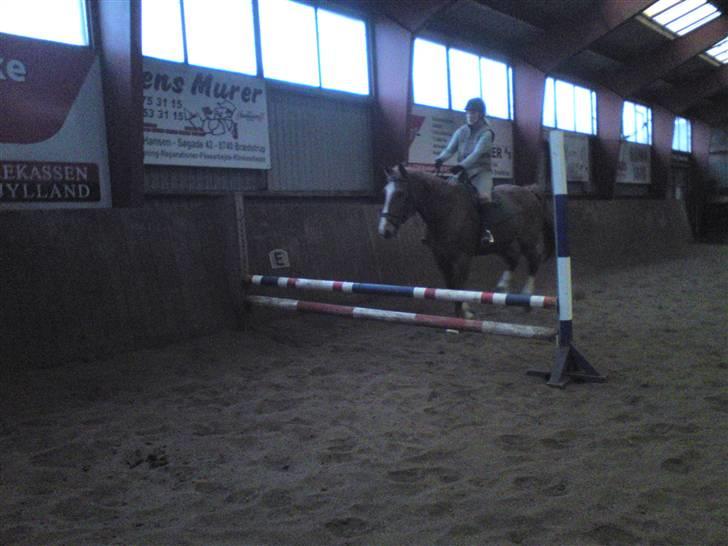 Springning på Brædstrup rideskole d. 31 Marts 10 - Sultan og ? billede 30