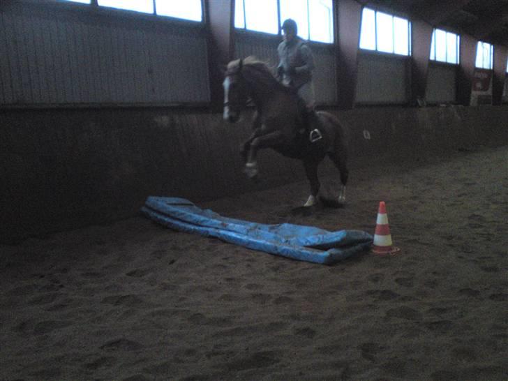 Springning på Brædstrup rideskole d. 31 Marts 10 - Sultan og ? billede 32