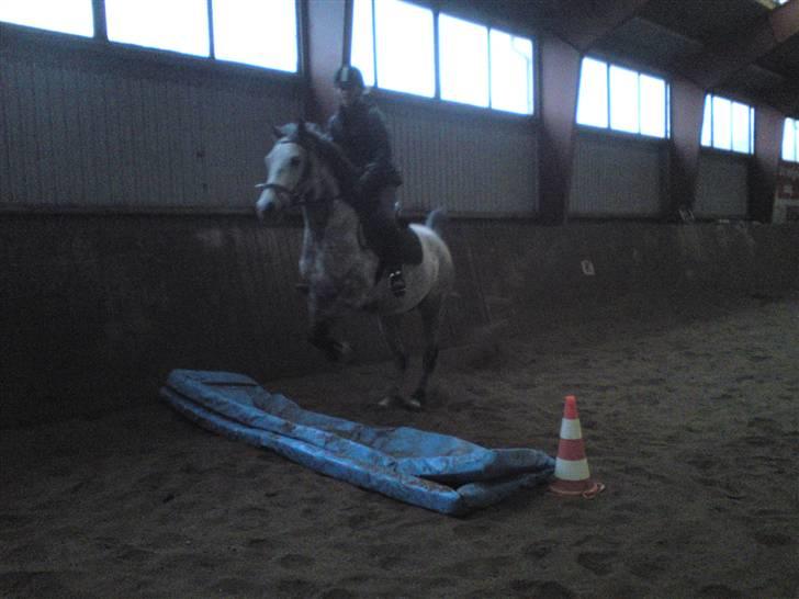 Springning på Brædstrup rideskole d. 31 Marts 10 - Stine og Kemt billede 33