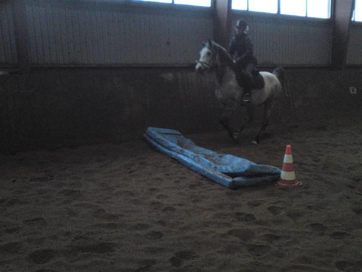 Springning på Brædstrup rideskole d. 31 Marts 10 - Stine og Kemt billede 34