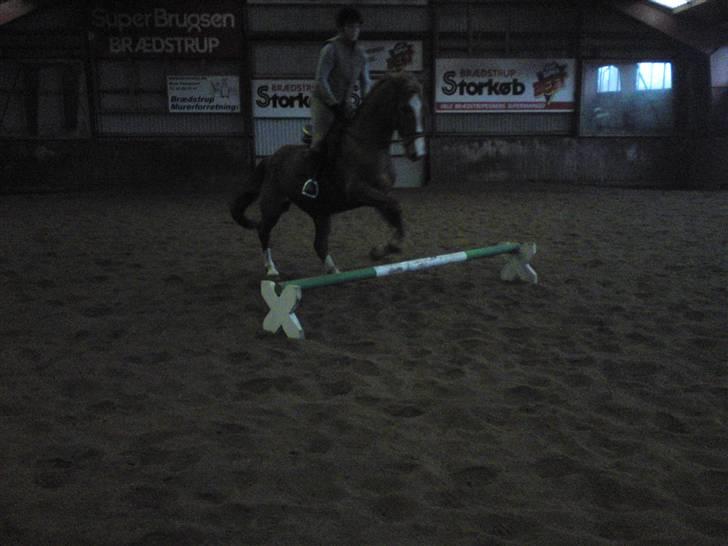 Springning på Brædstrup rideskole d. 31 Marts 10 - Sultan og ? billede 35