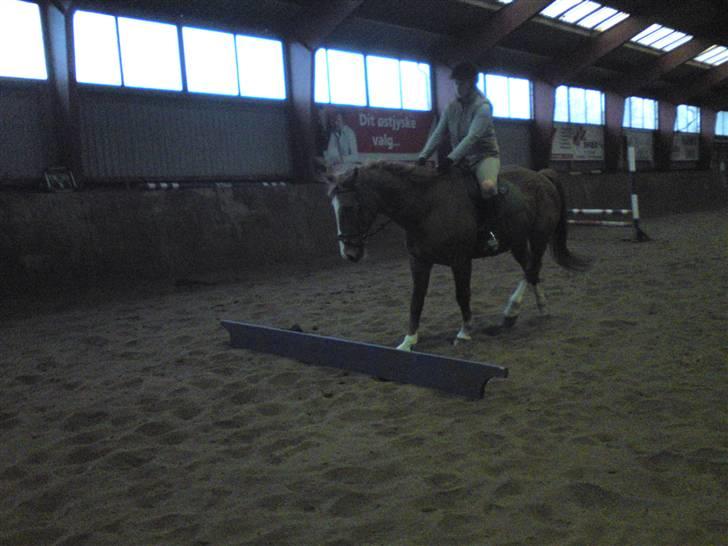 Springning på Brædstrup rideskole d. 31 Marts 10 - Sultan og ? billede 36