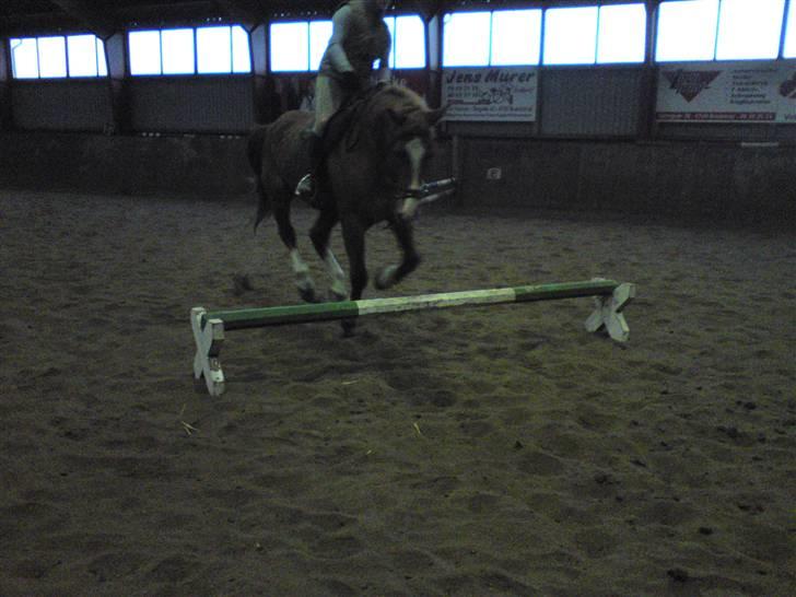 Springning på Brædstrup rideskole d. 31 Marts 10 - Sultan og ? billede 38