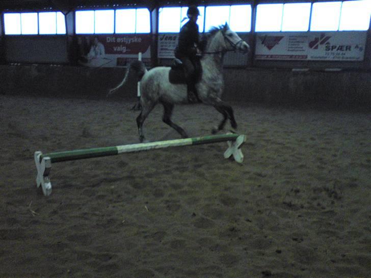 Springning på Brædstrup rideskole d. 31 Marts 10 - Stine og Kemt billede 39