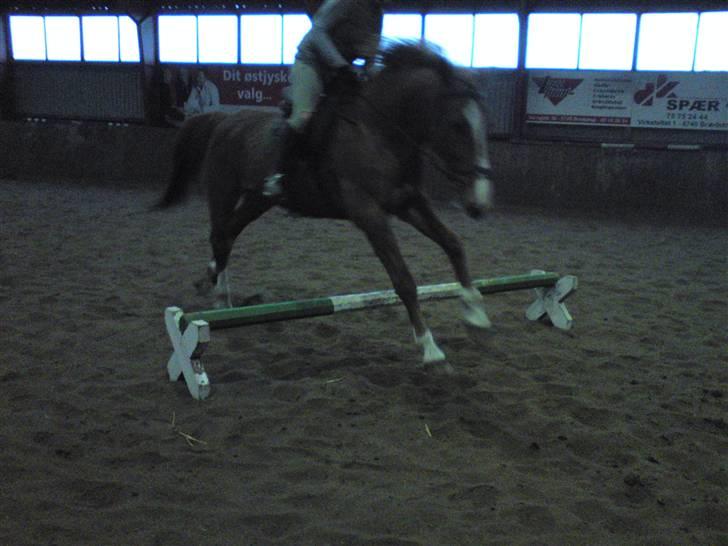 Springning på Brædstrup rideskole d. 31 Marts 10 - Sultan og ? billede 40