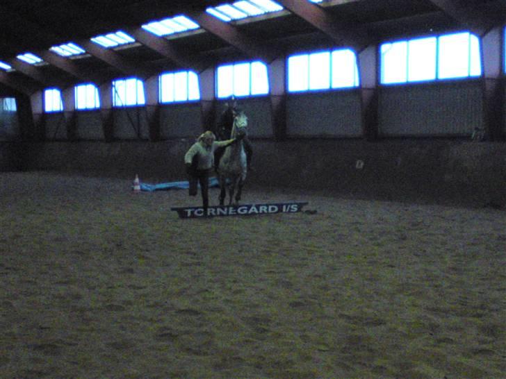 Springning på Brædstrup rideskole d. 31 Marts 10 - Stine og Kemt billede 41