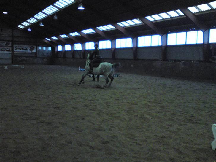 Springning på Brædstrup rideskole d. 31 Marts 10 - Stine og Kemt billede 42