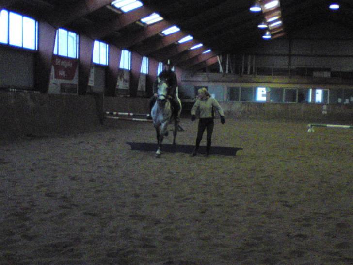 Springning på Brædstrup rideskole d. 31 Marts 10 - Stine og Kemt billede 43