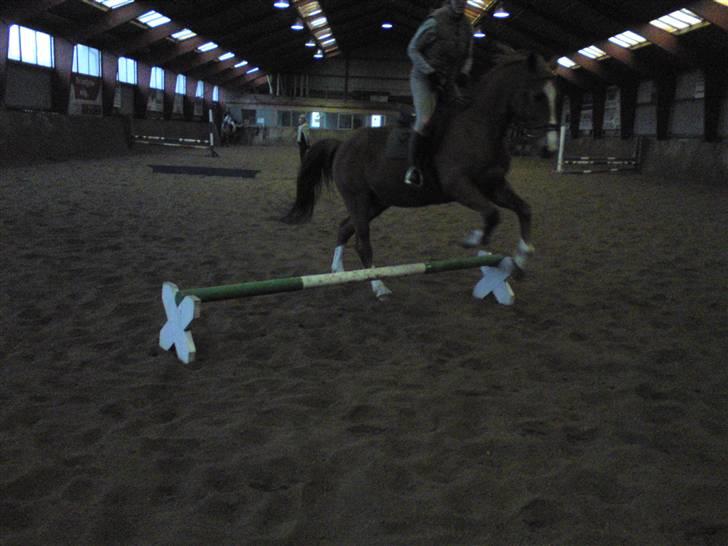 Springning på Brædstrup rideskole d. 31 Marts 10 - Sultan og ? billede 44