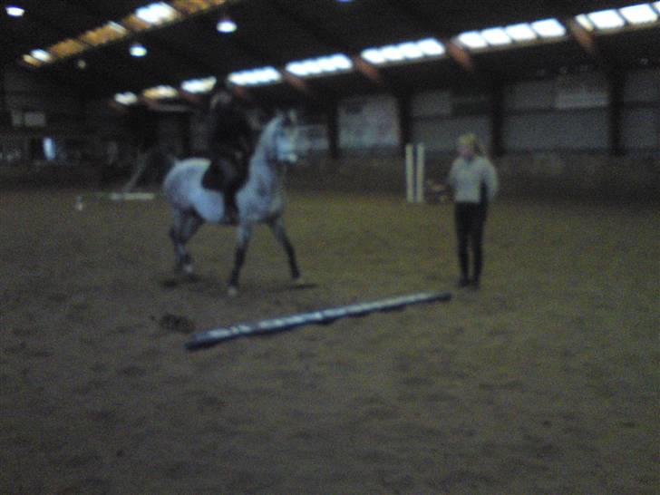 Springning på Brædstrup rideskole d. 31 Marts 10 - Stine og Kemt billede 46