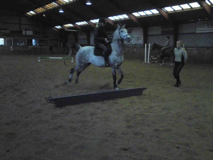 Springning på Brædstrup rideskole d. 31 Marts 10 - Stine og Kemt billede 47