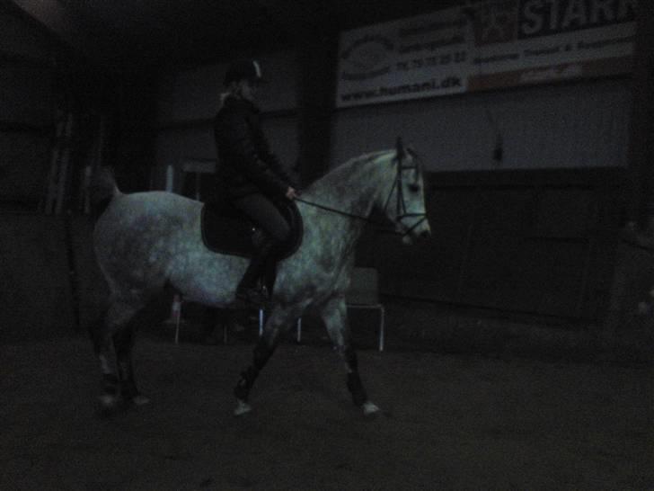 Springning på Brædstrup rideskole d. 31 Marts 10 - Stine og Kemt billede 48