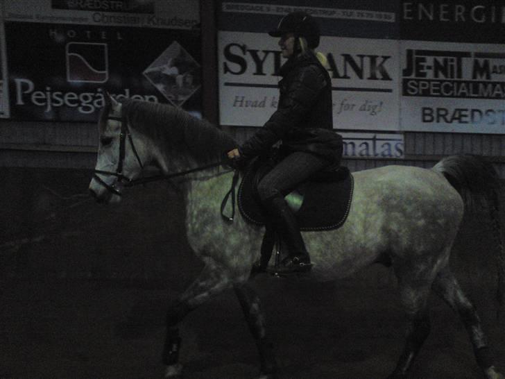 Springning på Brædstrup rideskole d. 31 Marts 10 - Stine og Kemt billede 52