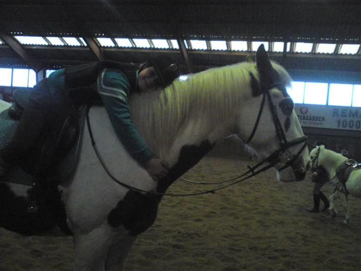 Springning på Brædstrup rideskole d. 31 Marts 10 - Cecilie og Indy billede 53