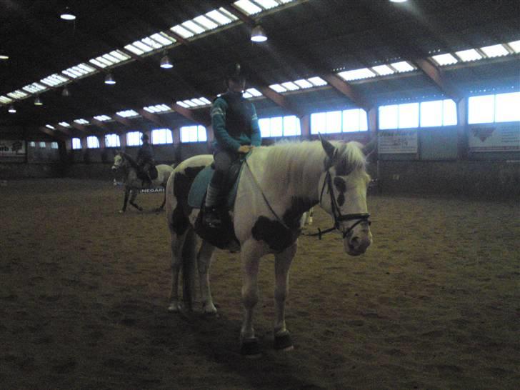 Springning på Brædstrup rideskole d. 31 Marts 10 - Cecilie og Indy billede 55