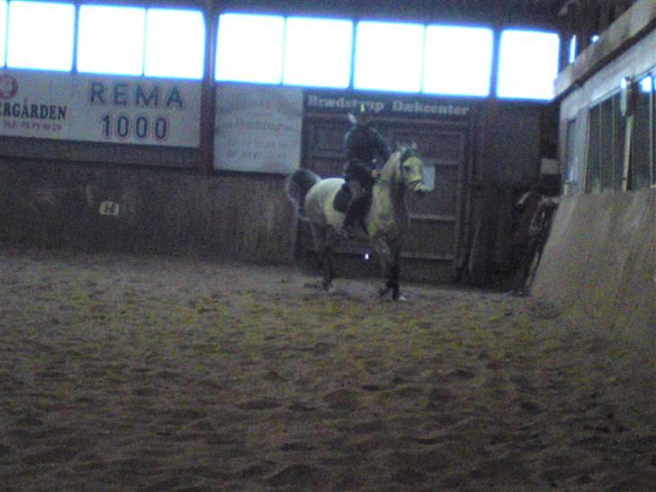 Springning på Brædstrup rideskole d. 31 Marts 10 - Stine og Kemt billede 56