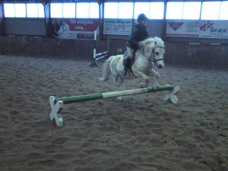 Springning på Brædstrup rideskole d. 31 Marts 10 - Kamilla og Rimi billede 1