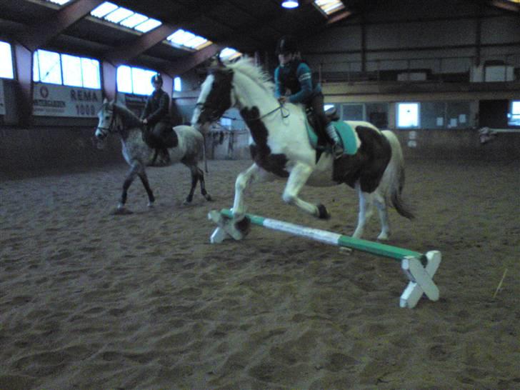 Springning på Brædstrup rideskole d. 31 Marts 10 - Cecilie og Indy billede 60