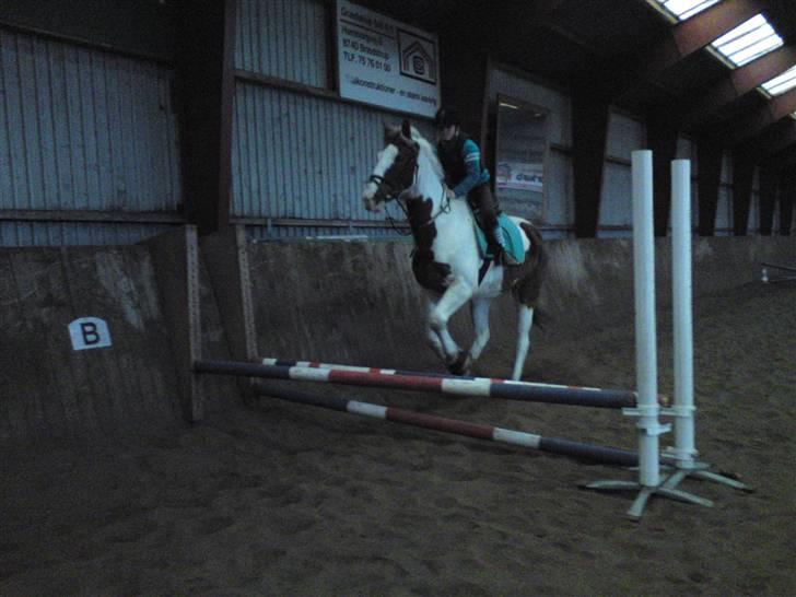 Springning på Brædstrup rideskole d. 31 Marts 10 - Cecilie og Indy billede 61