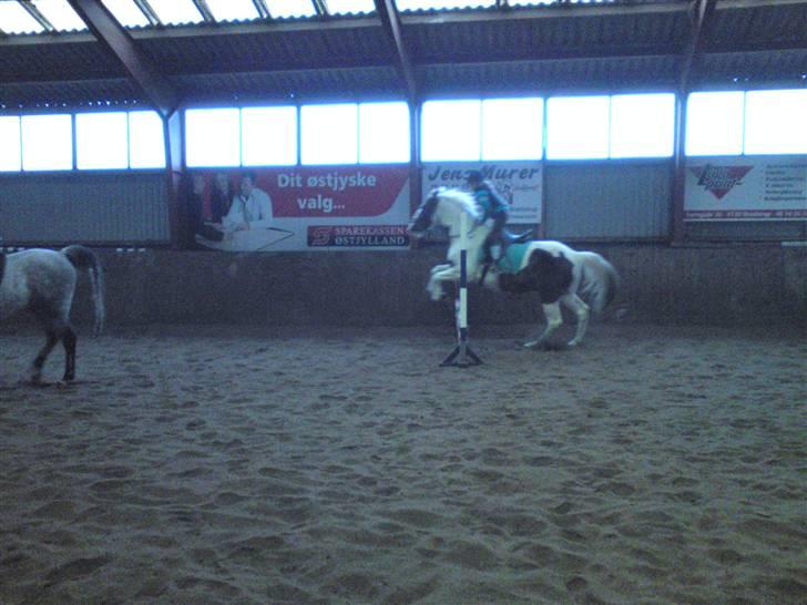 Springning på Brædstrup rideskole d. 31 Marts 10 - Cecilie og Indy billede 62