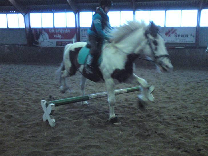 Springning på Brædstrup rideskole d. 31 Marts 10 - Cecilie og Indy billede 63