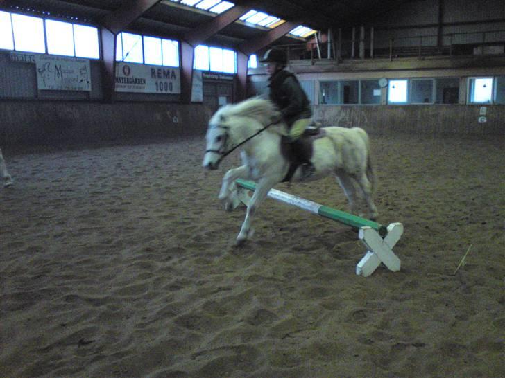 Springning på Brædstrup rideskole d. 31 Marts 10 - Kamilla og Rimi billede 64