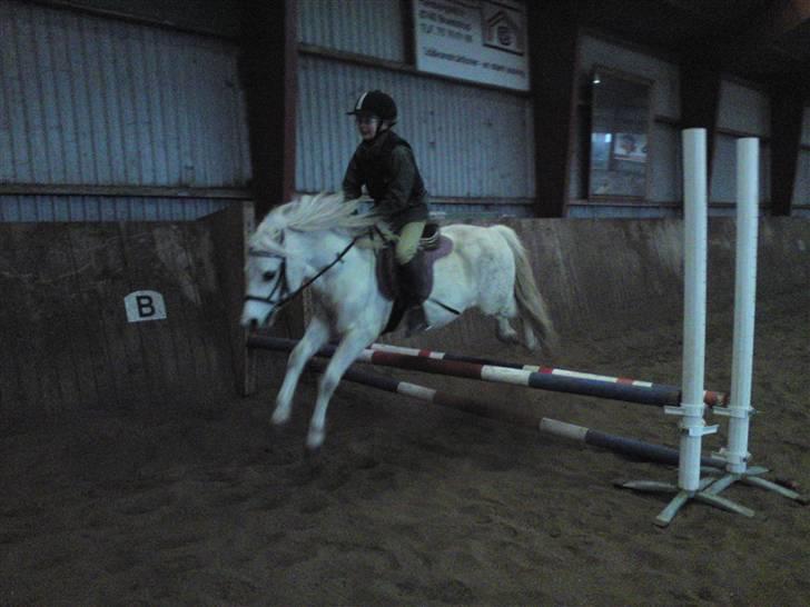 Springning på Brædstrup rideskole d. 31 Marts 10 - Kamilla og Rimi billede 65